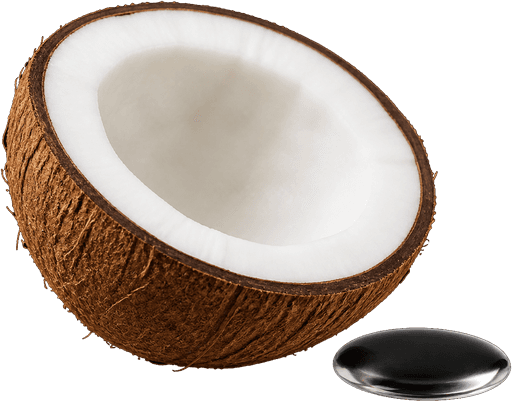 Fractionated coconut