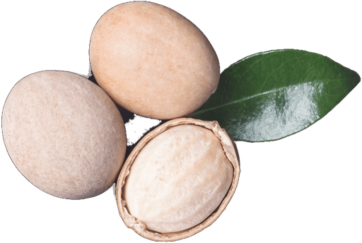 Shea butter