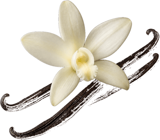 Vanilla